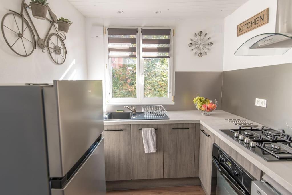 New L'Industr'Ill Au Coeur De L'Alsace Apartman Sélestat Kültér fotó