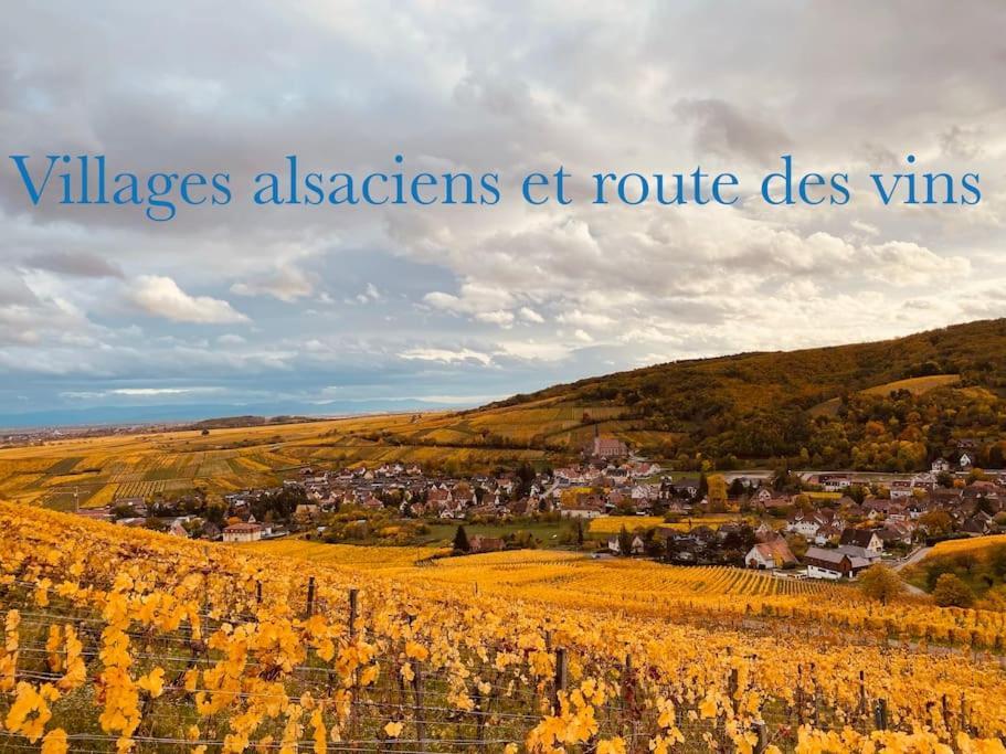 New L'Industr'Ill Au Coeur De L'Alsace Apartman Sélestat Kültér fotó