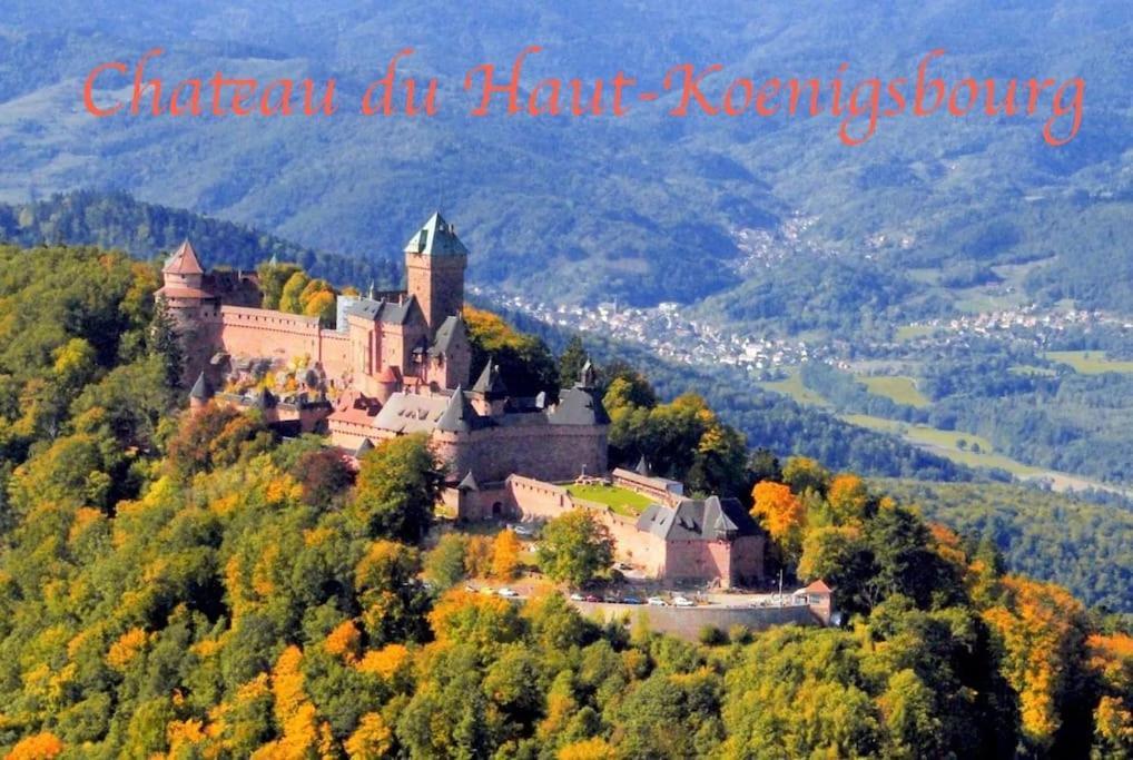 New L'Industr'Ill Au Coeur De L'Alsace Apartman Sélestat Kültér fotó